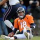 Image for article titled Peyton Manning Can Eat Shit